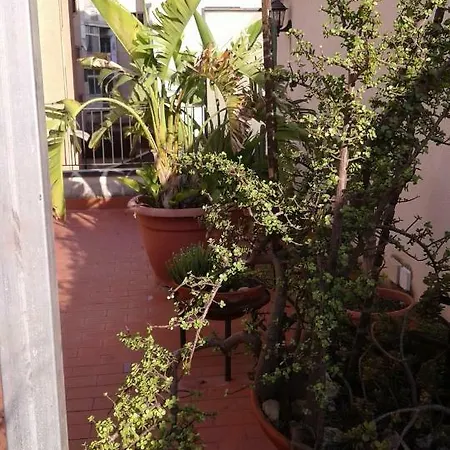 La Terrazza Nascosta * Palermo